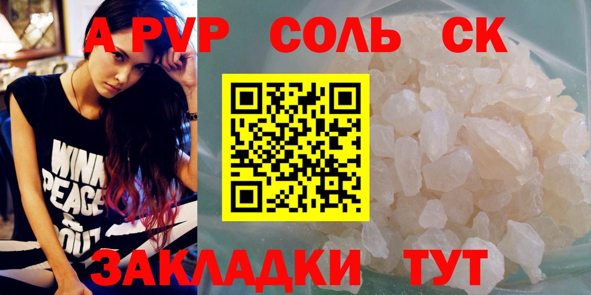 Альфа ПВП СК Курчалой