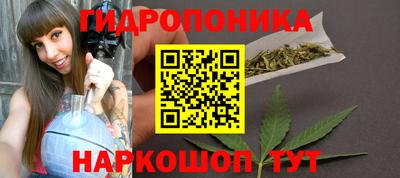 молекула духа Волжский