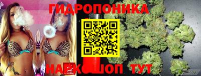молекула духа Волжский