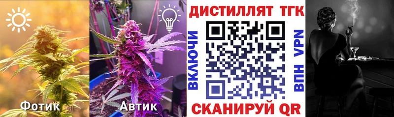 ТГК жижа  хочу   Курчалой 