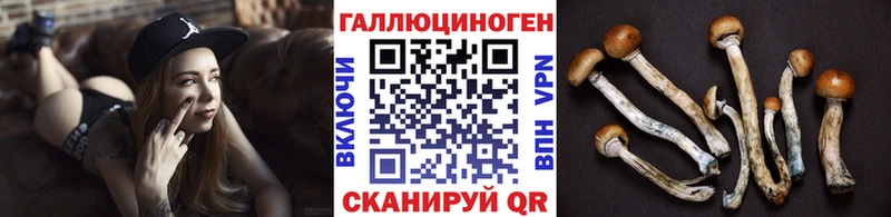 Галлюциногенные грибы Cubensis  Курчалой 