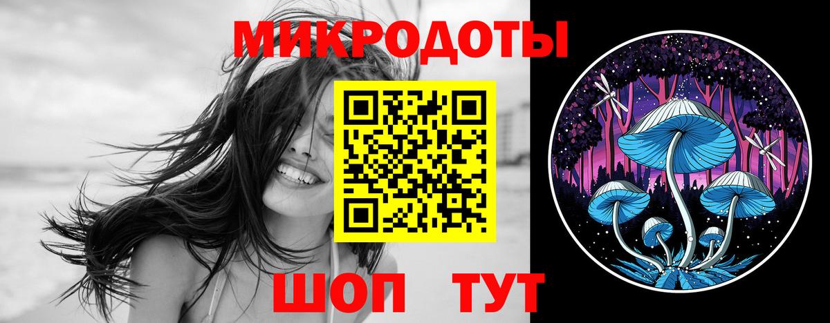 закладки  Вход с VPN  Курчалой  Галлюциногенные грибы ЛСД 