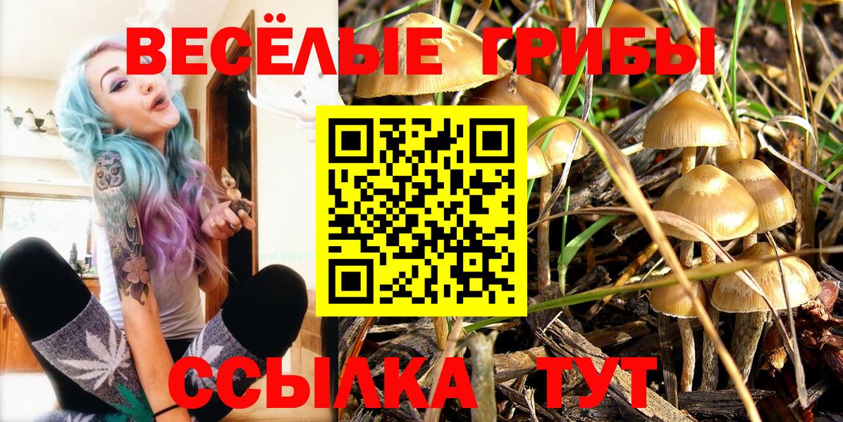 Псилоцибиновые грибы MAGIC MUSHROOMS  Галлюциногенные грибы ЛСД  Курчалой 