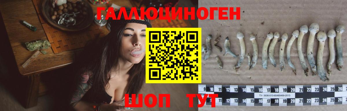 Псилоцибиновые грибы ЛСД Курчалой